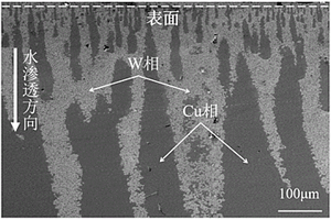 Cu相呈指状梯度分布的W-Cu复合板的制备方法