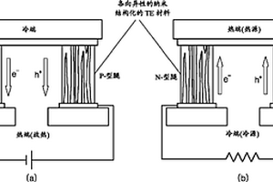 各向异性伸长的热电材料、其制备方法和包括该材料的器件