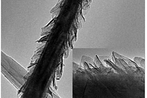 基于金属氧化物纳米阵列电场导向外延生长水滑石制备多级结构材料的方法