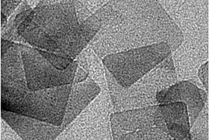 二氧化钛纳米片负载MIL-100(Fe)复合光催化材料的制备及应用方法