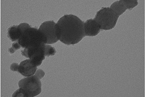 海藻多糖硫酸酯包覆纳米零价铁及其制备方法与应用