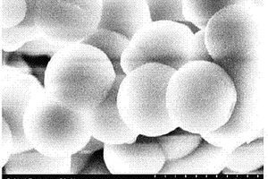 介孔二氧化硅/聚吡咯纳米材料修饰的微生物燃料电池阳极制备方法