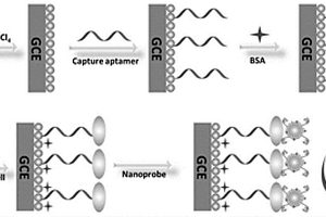 无酶电化学适体细胞传感器、制备方法及应用
