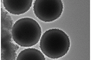 氧化钼/二硫化钼核壳微球的制备方法