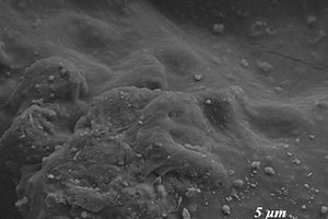 纳米钛酸铁改性聚氨酯预聚体的制备方法及其抗紫外应用