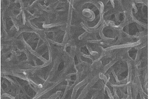 碳纳米复合吸波浆料及其制备方法