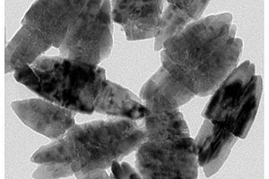 多氨基改性纳米氧化锌负载聚酰胺纤维的制备方法