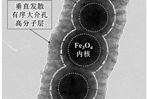 具有有序大介孔高分子壳层的磁性纳米棒及其合成方法