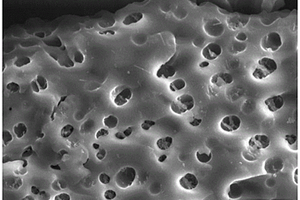 椰壳生物质炭复合羧甲基纤维素吸附剂的制备方法及其应用