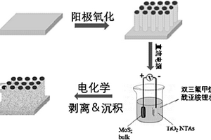 电沉积二硫化钼量子点修饰二氧化钛纳米管阵列的制备方法