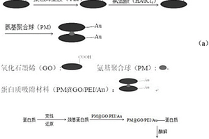 蛋白质吸附材料及其制备及应用