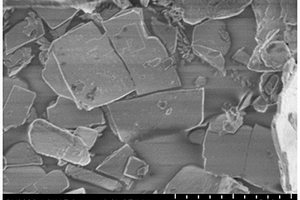 二维钛酸钡填料掺杂的聚偏氟乙烯基复合介质薄膜及其制备方法
