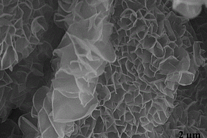 以泡沫铜为基底构筑二维金属有机框架纳米水解电催化剂的制备方法及其应用于电解水析氢