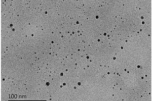 纤维素II型纳米晶粒子及其制备方法和应用