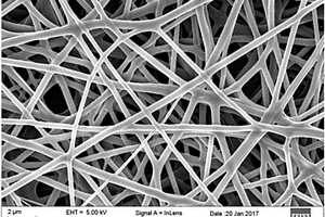 同轴双层静电纺丝制备具有芯/壳包埋结构的纳米纤维膜的方法及其应用