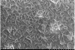 具有表面碳纳米墙的硅基负极材料及其制备方法和电池