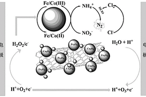 基于Co3O4/Fe3O4/CNTs复合分散电极的含硝酸盐氮废水处理方法