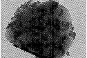 沸石基纳米钼酸铋可见光催化材料及其制备方法
