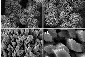 磷酸钴三氧化钼复合纳米棒阵列三维电极材料及其制备方法与应用
