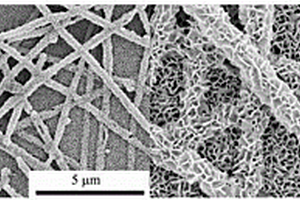 低温原位生长纳米结构半导体金属氧化物的方法及应用