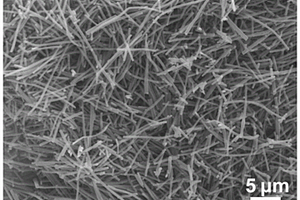 过渡族金属硫化物/氮硫共掺杂碳复合纤维电极材料的制备方法及应用