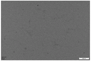 纤维素/芳纶纳米纤维复合膜及其制备方法和应用