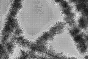 水热合成银硫化铟异质结构纳米材料的方法
