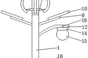 新能源的照明路灯