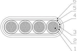 新能源汽车用平行式高压集成电缆