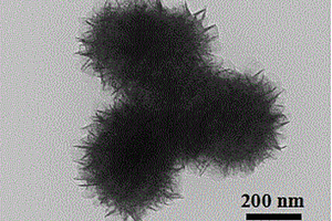 碳量子点诱导的二氧化钛分级纳米结构及其制备方法