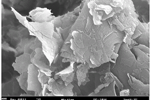 水溶性KCl催化合成碳纳米片的方法及储能、缓释应用
