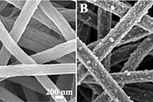 二硫化钼/石墨烯/碳纳米纤维复合材料及其制备方法