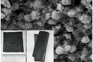 轻质柔性纸基1T相二硫化钨/碳纳米管复合热电材料及其制备方法