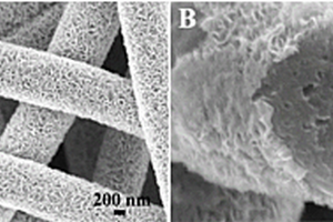 硒化钼/多孔碳纳米纤维复合材料及其制备方法和应用
