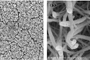 性能优异的双层纳米线分级结构NiCo2O4-ZnCo2O4复合电极材料