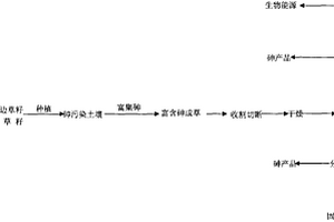 用生物技术从砷污染土壤中提取砷和可燃气的方法