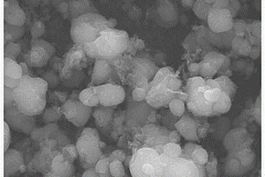 掺杂纳米二氧化钛磷酸铁锂正极材料的制备方法