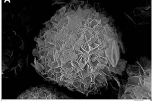 五氧化二钒微纳颗粒及其制备方法和应用