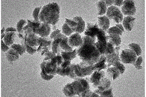 立体花状氧化锌纳米材料的制备方法及所得产品