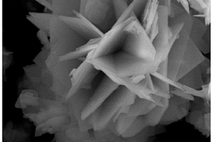 片状g-C<sub>3</sub>N<sub>4</sub>复合花瓣状BiOBr光催化材料的制备方法