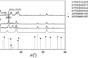 三维ZnO/CuO纳米异质分级结构光电极及其制备方法