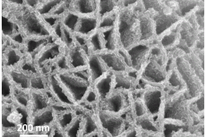 二硫化锡-硫化镍核壳异质多孔纳米墙阵列结构及其制备方法