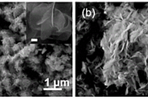 新型纳米电催化剂及其制备方法和应用