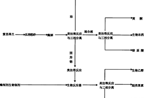 用紫茎泽兰提取精油、绿原酸、黄酮、生物农药、生物乙醇、腐植酸、超类黑素的方法