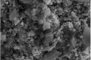 利用煤炭制备自掺杂双功能氧反应电催化剂的方法