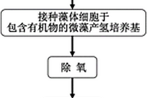 提高微藻产氢效率的方法