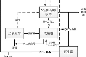 猪粪厌氧发酵后沼液氨氮回收及沼气提纯的工艺与装置