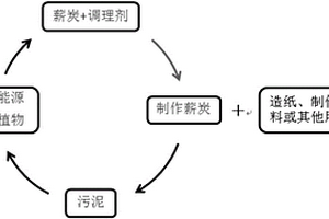 无害化污水厂污泥或河道污泥生物处理方法及薪炭植物生长基