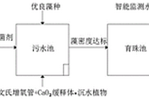 智慧养殖珍珠蚌和微生物协同净化微污染水体方法