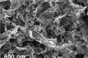 硫化钼/石墨烯/碳纳米球复合材料及其制备方法